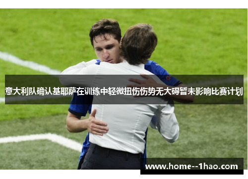 意大利队确认基耶萨在训练中轻微扭伤伤势无大碍暂未影响比赛计划